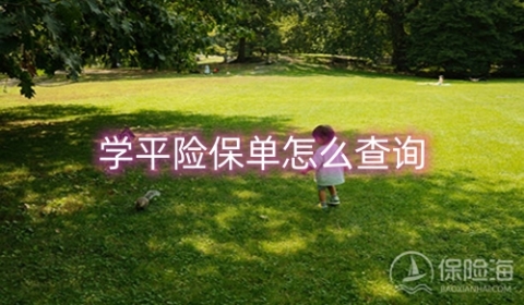 学平险是什么?学平险保单怎么查询?